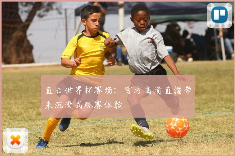 直击世界杯赛场：官方高清直播带来沉浸式观赛体验