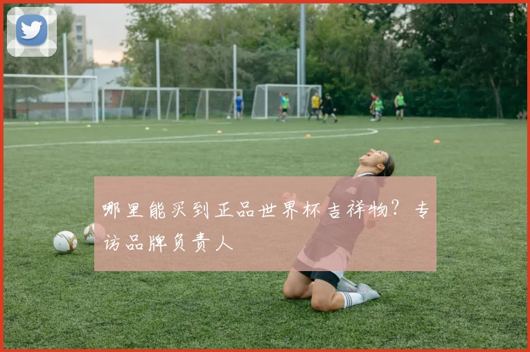 哪里能买到正品世界杯吉祥物？专访品牌负责人