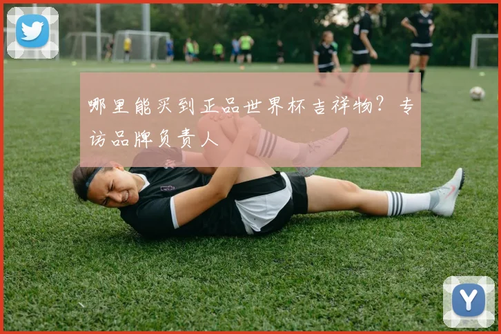 哪里能买到正品世界杯吉祥物？专访品牌负责人