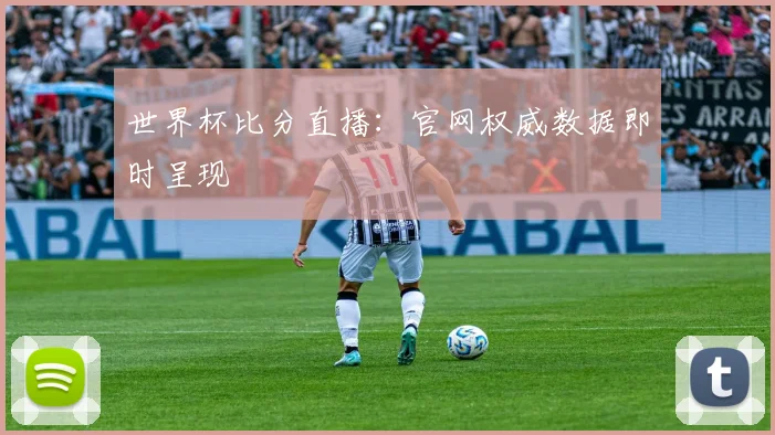 世界杯比分直播：官网权威数据即时呈现