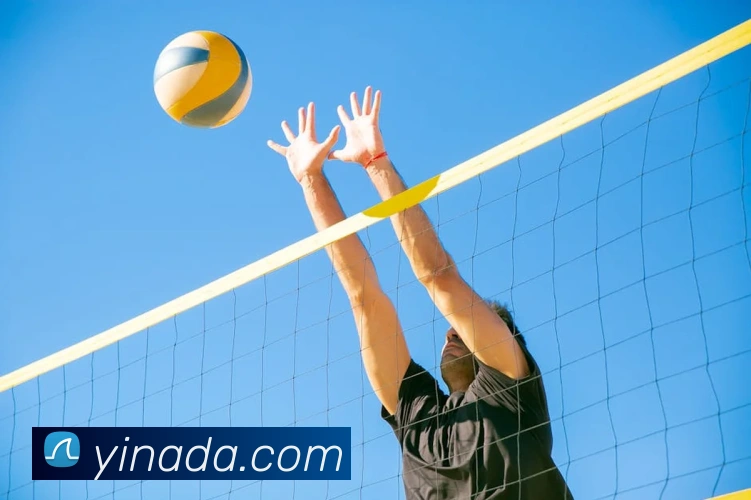 九游app官方网站平台生态图